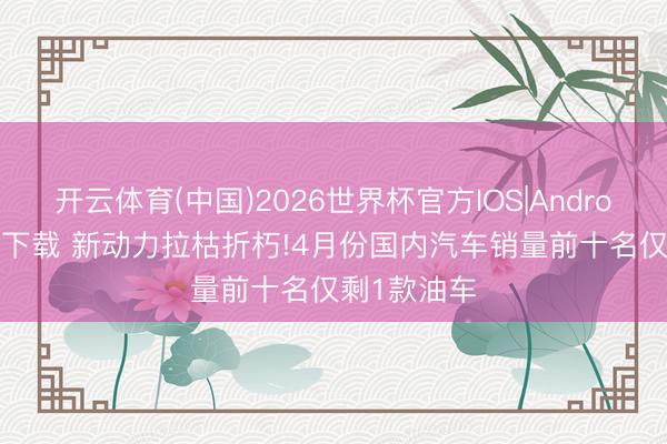 开云体育(中国)2026世界杯官方IOS|Android手机app下载 新动力拉枯折朽!4月份国内汽车销量前十名仅剩1款油车