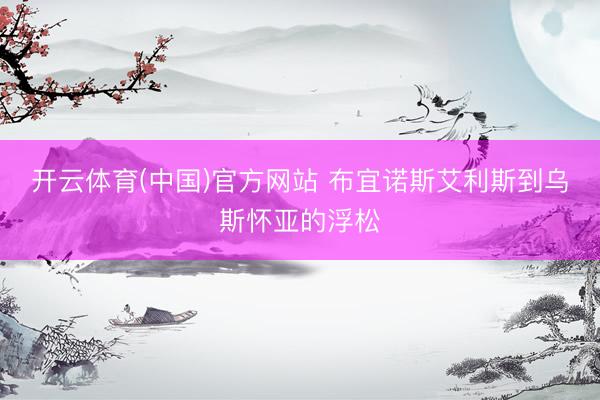 开云体育(中国)官方网站 布宜诺斯艾利斯到乌斯怀亚的浮松