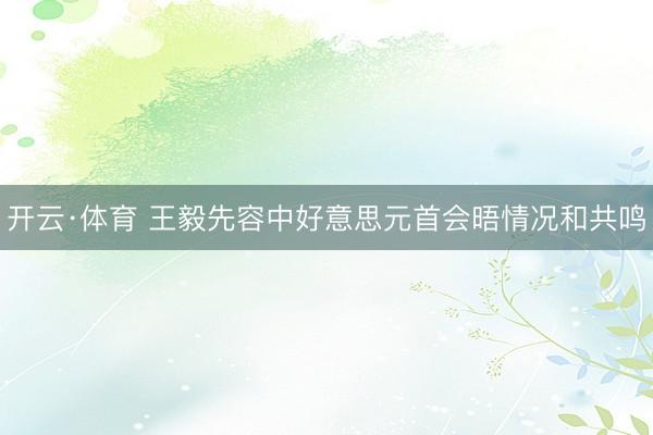 开云·体育 王毅先容中好意思元首会晤情况和共鸣