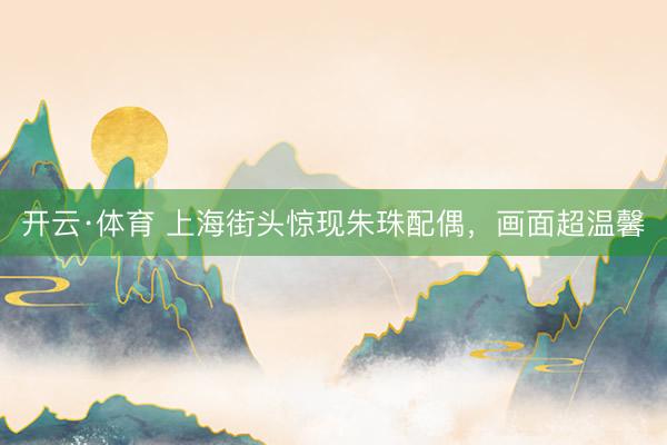 开云·体育 上海街头惊现朱珠配偶，画面超温馨
