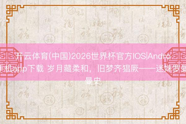 开云体育(中国)2026世界杯官方IOS|Android手机app下载 岁月藏柔和,旧梦齐猖厥——迷妹罗曼史