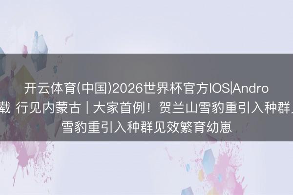 开云体育(中国)2026世界杯官方IOS|Android手机app下载 行见内蒙古 | 大家首例！贺兰山雪豹重引入种群见效繁育幼崽
